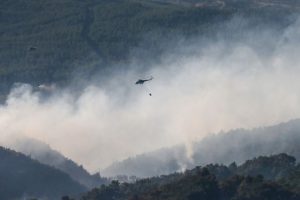 İzmir'deki yangın üçüncü gününde