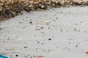 Dünya Sağlık Örgütünden 'mikroplastik' çağrısı