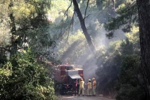 Marmaris'te dört günde üçüncü yangın