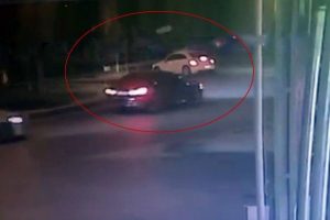 Cipten kaçtı otomobile ve ağaca çarptı