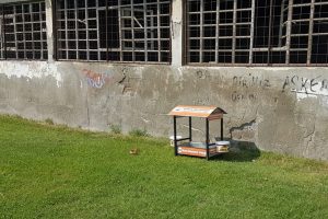 Bursa Gemlik Belediyesi'nden kedi evleri adımı