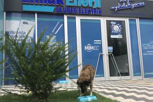 Bursa'da sokak hayvanlarını unutmadılar