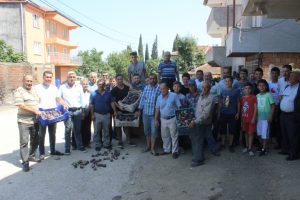 Dünyada sadece Bursa'da yetişiyor ama alan yok