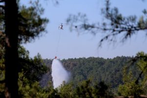 Bursa Orhaneli'deki yangınla ilgili 3 gözaltı