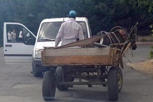 Söktüğü trafik levhalarını at arabasıyla götürürken yakalandı