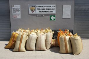 Serbest piyasadaki fındıkta fiyat düşüşü tedirgin ediyor