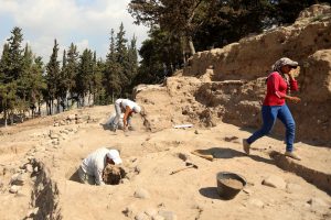 9 bin yıllık yerleşim yeri gün yüzüne çıkartılmaya çalışılıyor