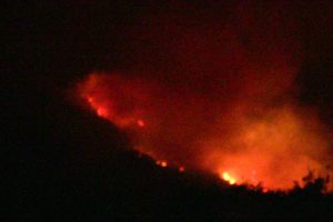 Hatay'da orman yangını