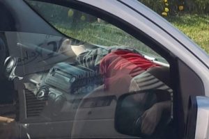 Aracın ön konsolunun üzerinde şaşırtan yolculuk