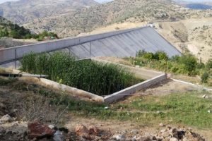 Sulama havuzunda cansız bedeni bulundu