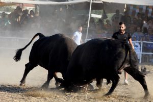 İspanya değil, Muğla