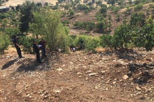 Traktör şarampole devrildi: 1 ölü, 1 yaralı