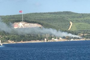 Çanakkale'de orman yangını