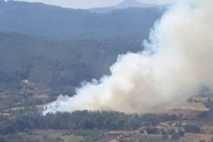Muğla'da ormanlık alanda yangın