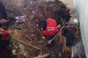 Atık su borusuna sıkışan yavru köpekler kurtarıldı