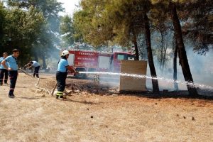 Elektrik tellerine çarpan kuşlar yangına neden oldu