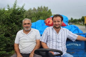 TMO alım noktasında fındık yoğunluğu