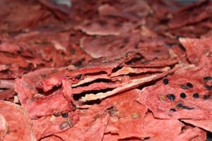 ABD ve Avrupa'ya cips formunda kavun karpuz ihracatı