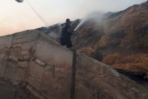 100 bin büyükbaş hayvanın bulunduğu besi çiftliğinde korkutan yangın