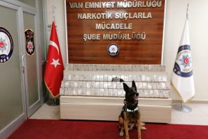 50 kilo eroin ele geçirildi