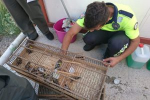 Koruma altındaki kuşları yakalayana 132 bin 416 TL ceza