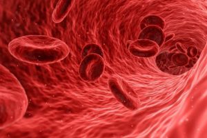 Enfeksiyon kaynaklı ölümlerin yüzde 60'ından sepsis sorumlu