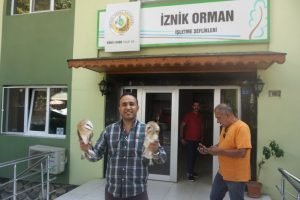 Bursa yaralı 2 peçeli baykuş tedaviye gönderildi