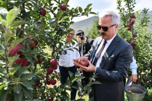 Vali, tekneyle göle açılarak, bahçede elma topladı