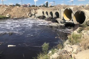 Çorlu Deresi simsiyah akmaya devam ediyor