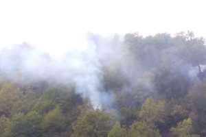 Sinop'taki orman yangını kontrol altına alındı