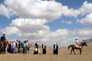 Van'ın berivanları yayla yolunda