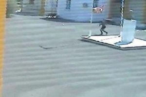 Türk bayrağını indiren Rum'un kimliği tespit edildi