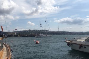 Plastik kirliliğine karşı yola çıkan Blue Panda İstanbul'da
