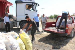 Iskarta elma alım fiyatları yüz güldürüyor