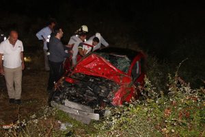Köpeğe çarpan otomobil kanala uçtu