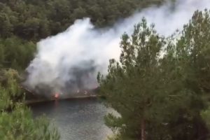 Sorumsuz piknikçiler yangın çıkardı