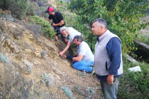 Bursalı çiftçi kayalıklarda bir fosil daha buldu