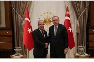 Cumhurbaşkanı Erdoğan, Şamil Tayyar'ı kabul etti