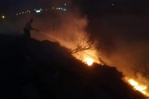 Hatay'da bitki örtüsü yangını
