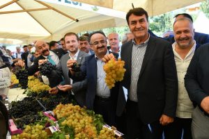 Bursa'nın en güzel üzümleri seçildi
