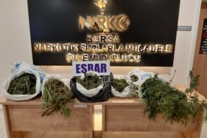 Bursa'da uyuşturucu operasyonu! 1 gözaltı