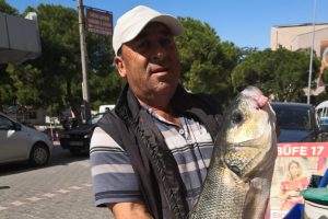 Oltayla 8 kiloluk levrek avladı