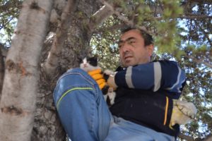 Mahsur kalan yavru kediyi itfaiye ekipleri kurtardı