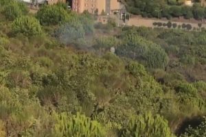Pendik'teki orman yangınıyla ilgili flaş gelişme