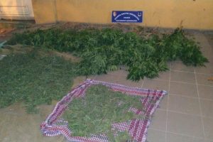 Sakarya'da uyuşturucu operasyonu: 4 gözaltı