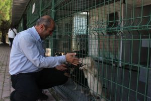 Bursa'da hastaların artıkları can dostlarını hayata bağlıyor