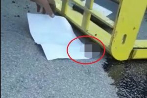 Bursa'da kopan parmakları yetiştirmek için zamanla yarış