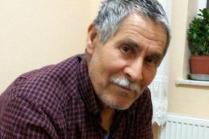 Üzüm toplamak isterken canından oldu