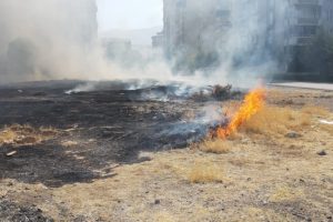 Anız yangını büyümeden kontrol altına alındı