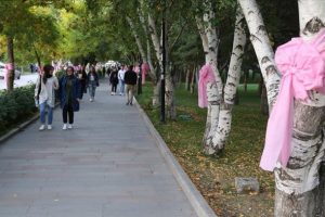 Üniversiteyi pembe fiyonklarla donatıp meme kanserine dikkati çektiler